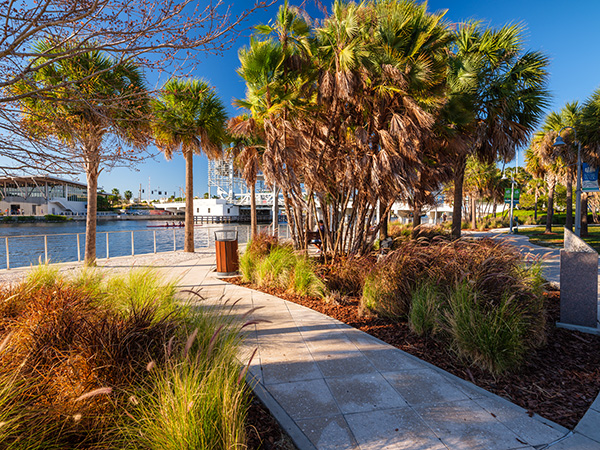Tampa Florida waterfront